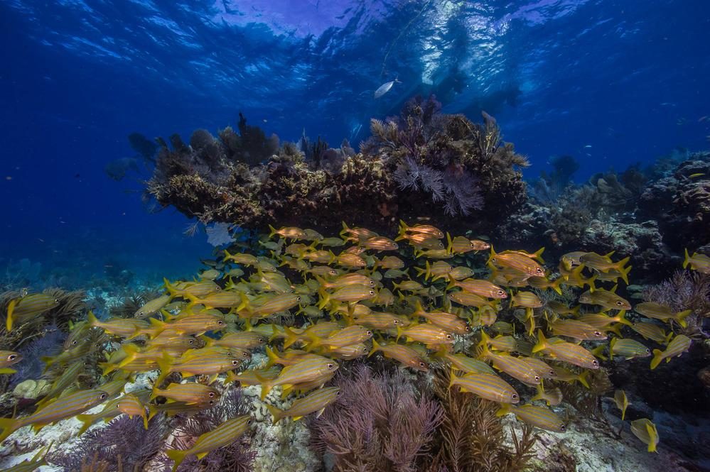 Biscayne National Park
