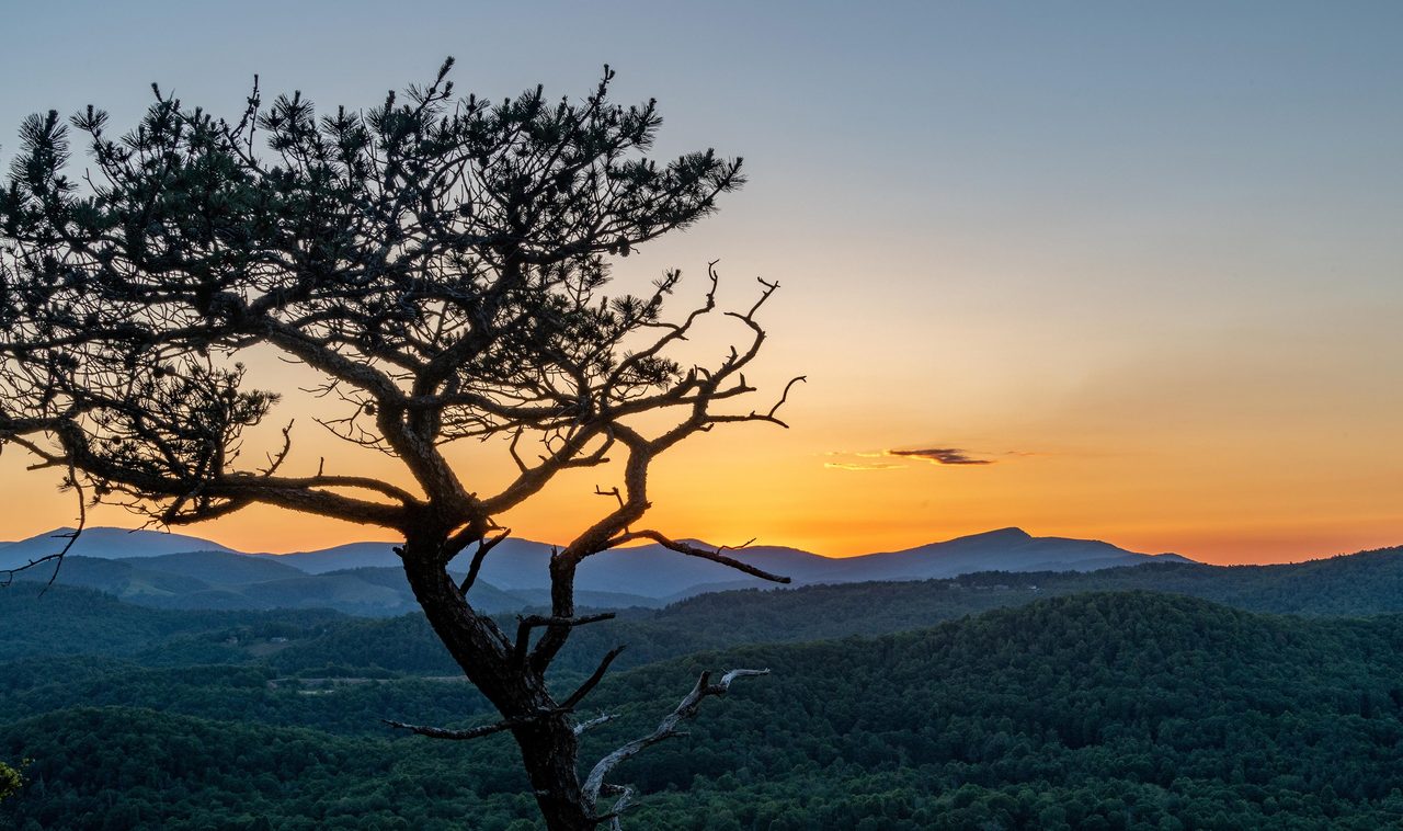 Blue Ridge Parkway
