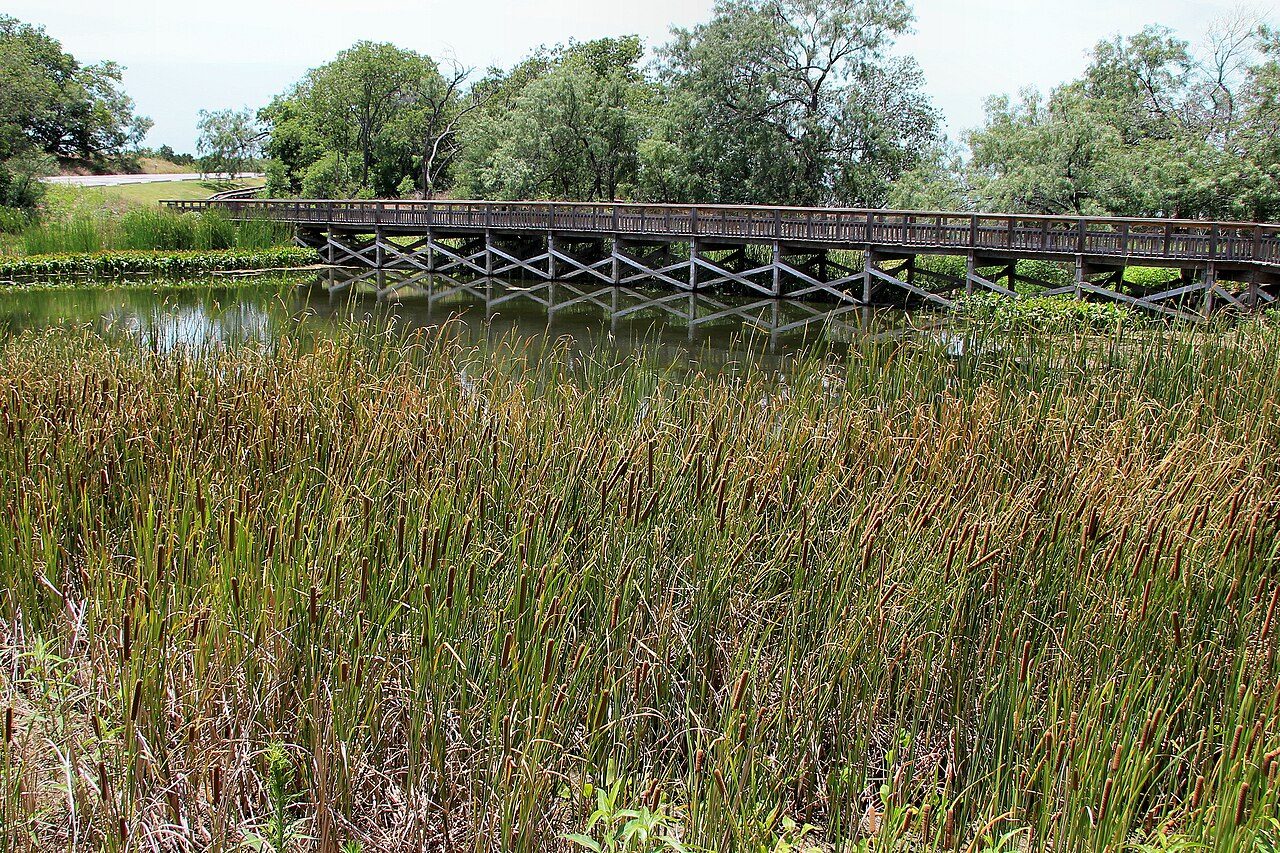 Cedar Hill State Park