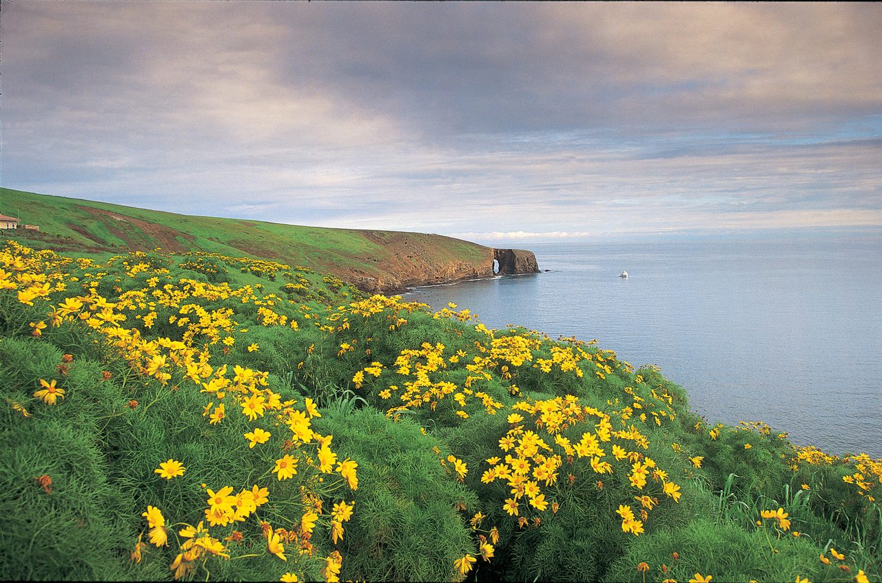 Channel Islands National Park