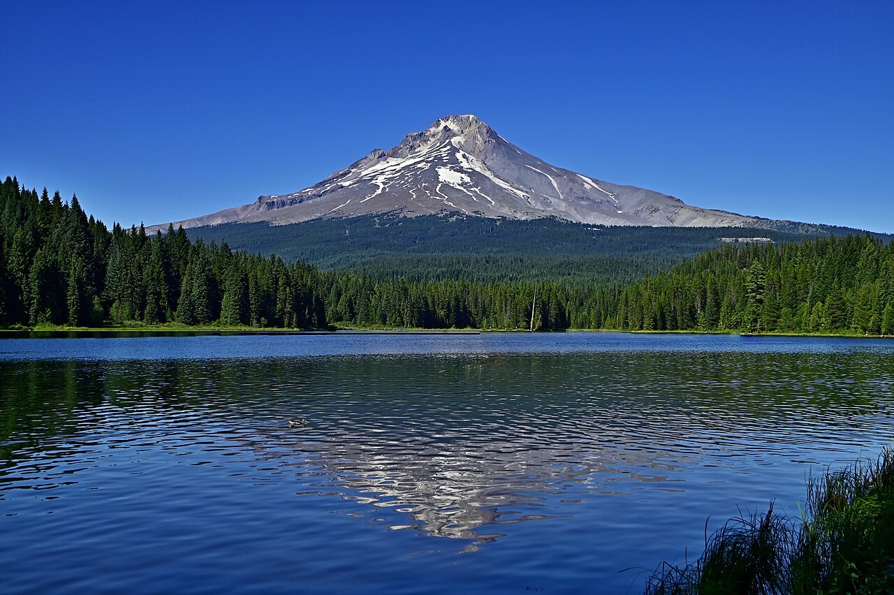 Mount Hood National Forest