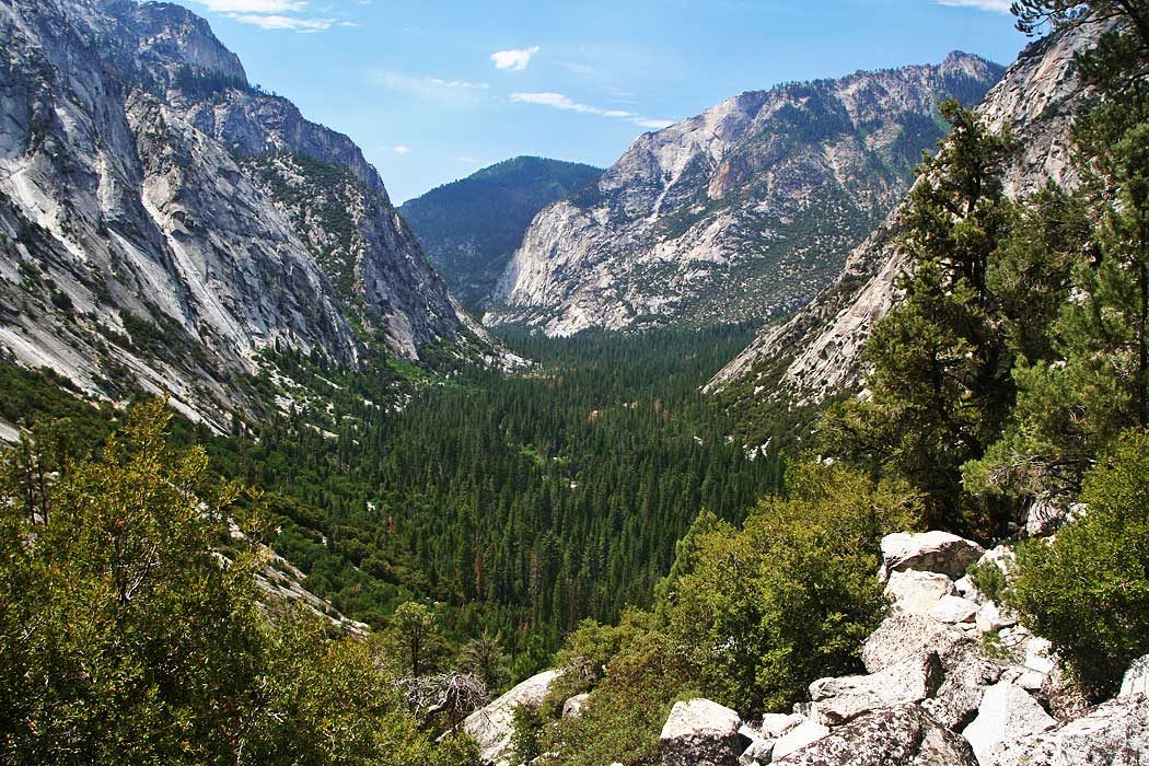 Sequoia National Park